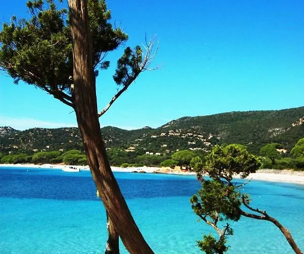 Air-conditioned Near Porto Vecchio, 500 M Sea, 8 People, Two Bathrooms * Zonza