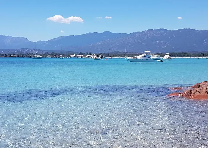 Air-conditioned Near Porto Vecchio, 500 M Sea, 8 People, Two Bathrooms * Zonza